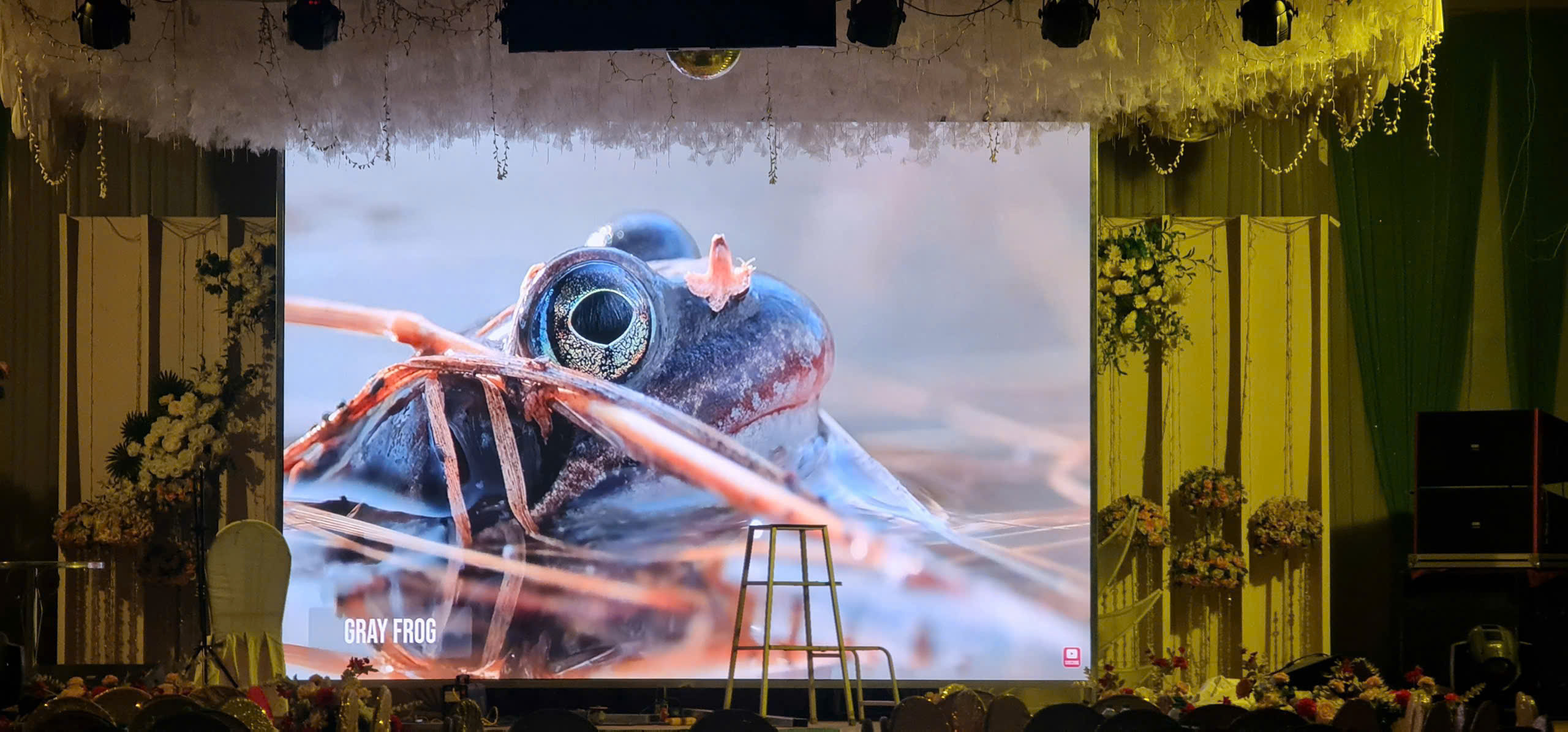 Man-hinh-led-gia-re-Led-link-aia (3)